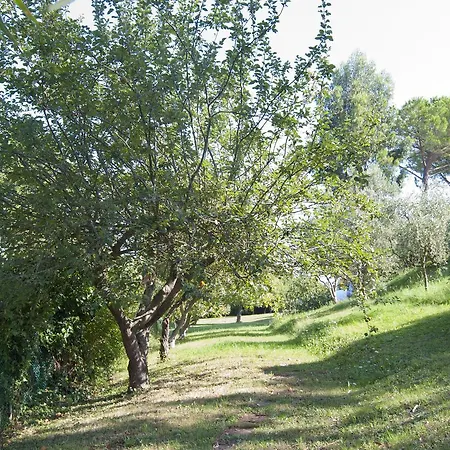 Le Tregge